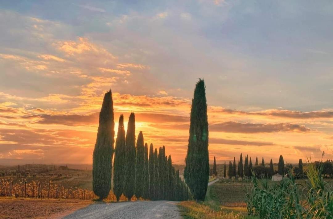 Apartmán Casa Guardiavigna In Chianti San Gusme Exteriér fotografie